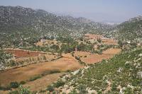 Kalekoy_fields 
